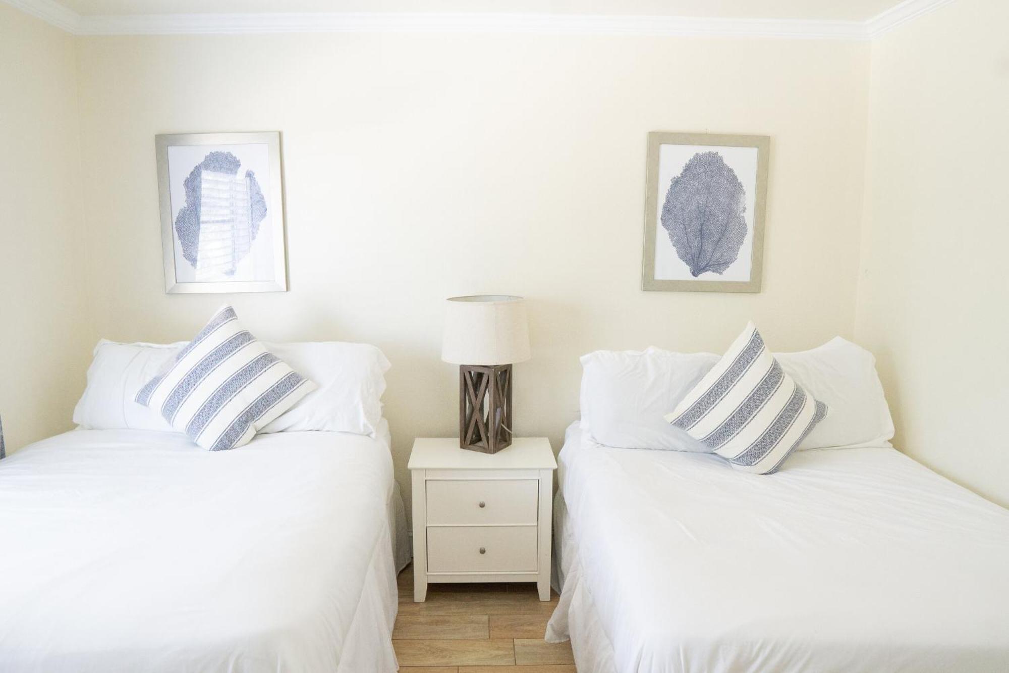 Motel The Molloy - Treasure Island & 3*