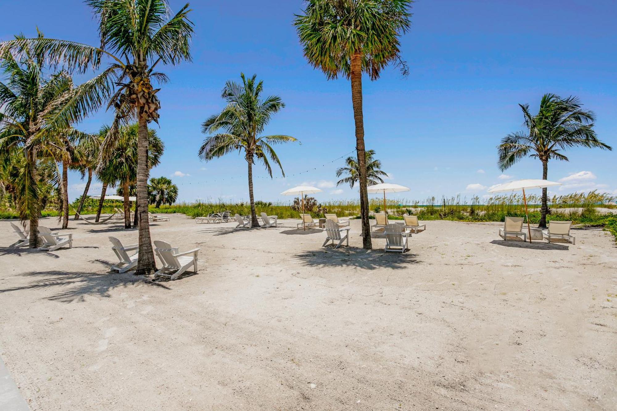 Motel The Molloy - Treasure Island &