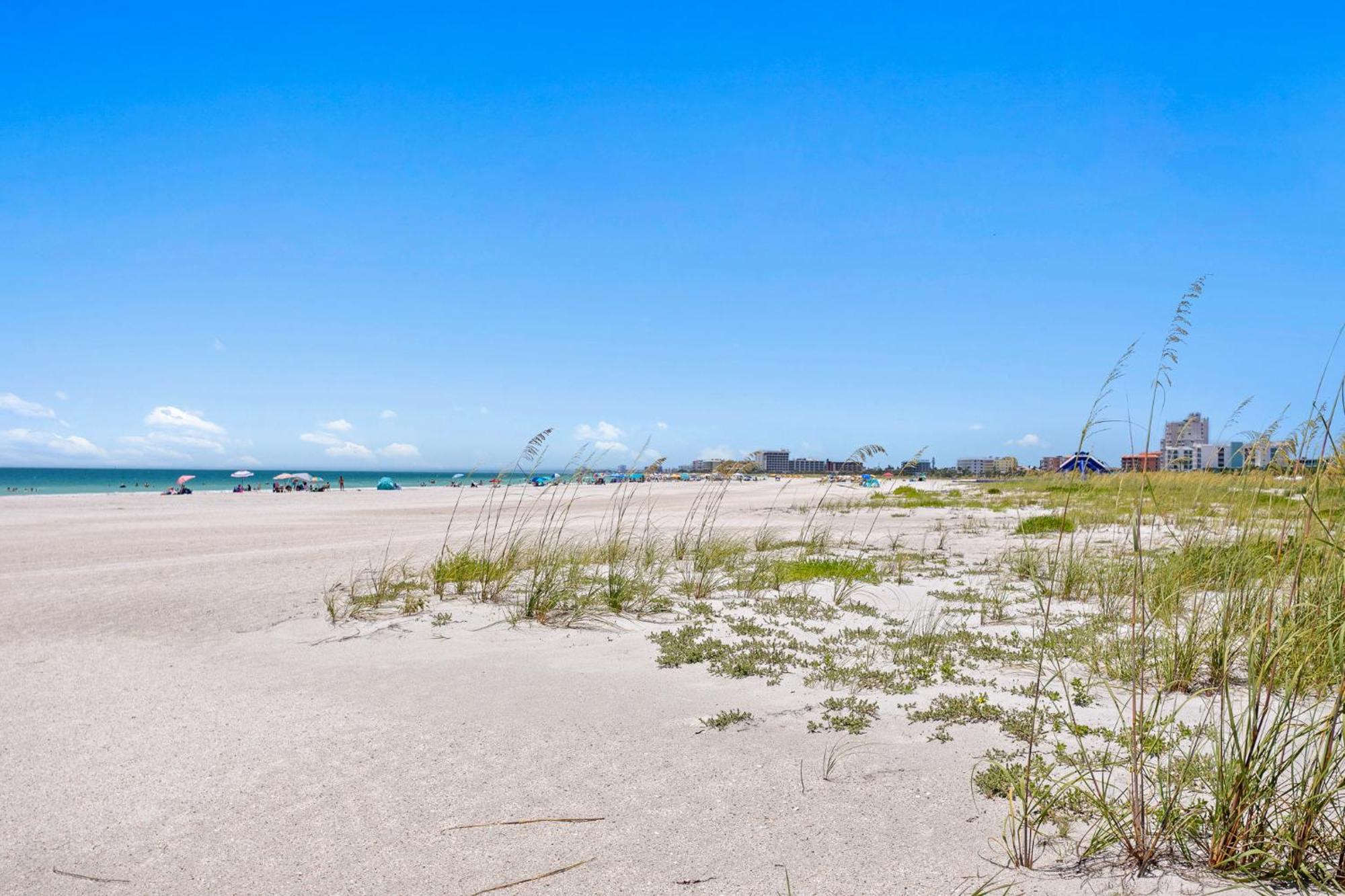 The Molloy - Treasure Island & St. Pete Beach