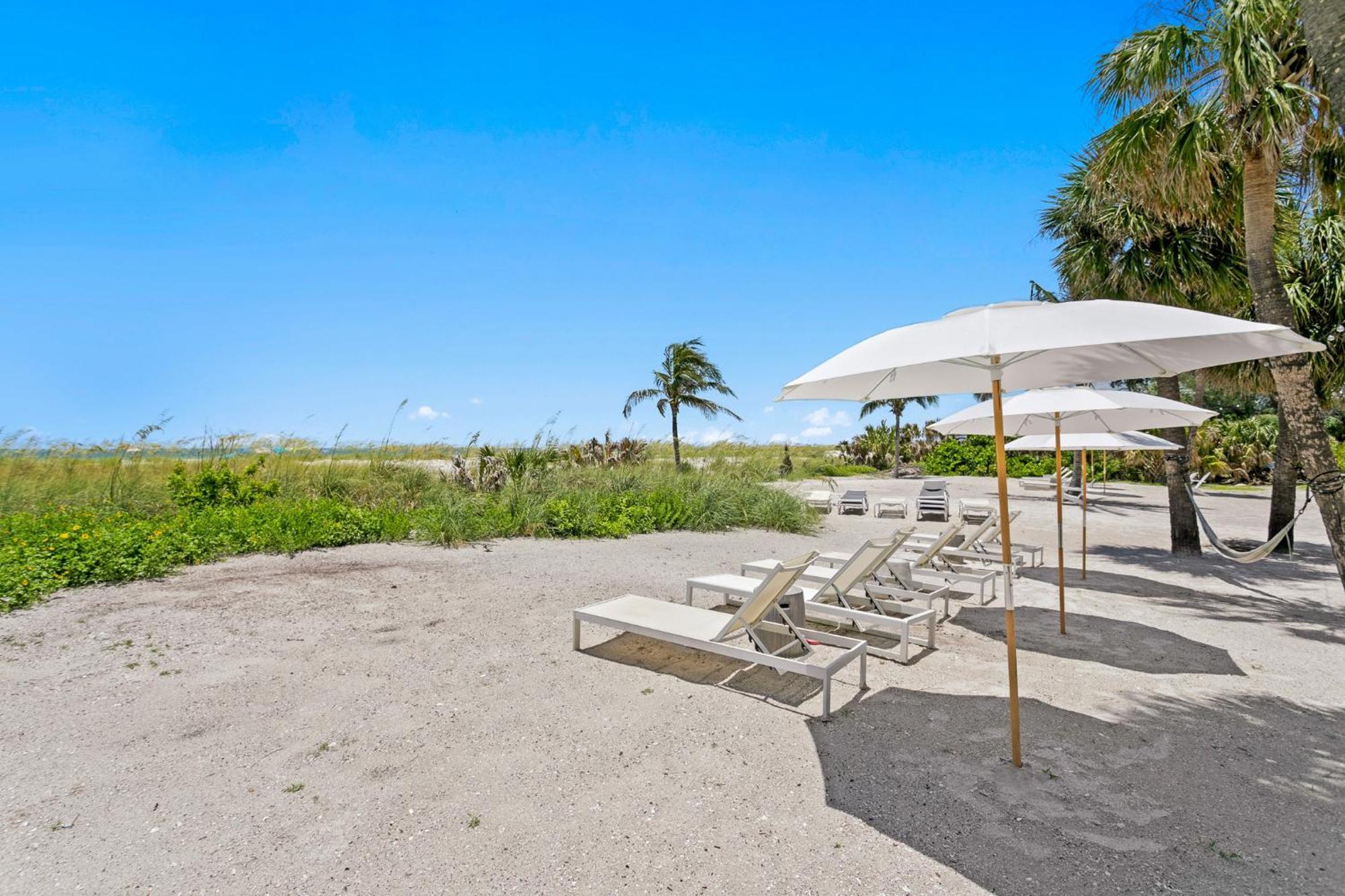 The Molloy - Treasure Island &