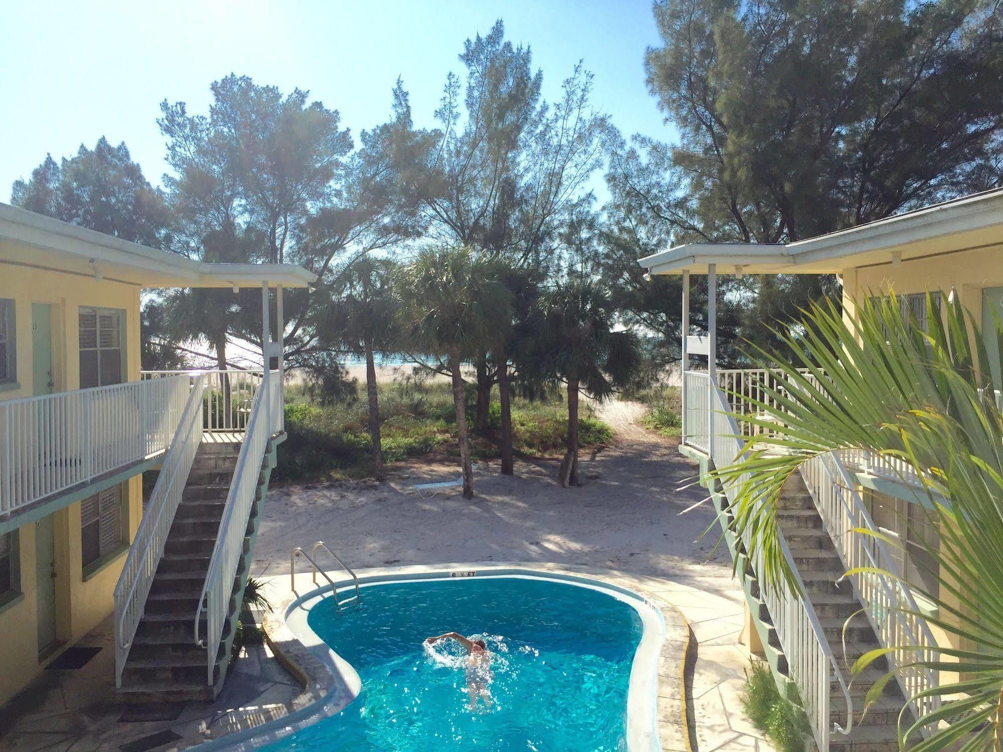 The Molloy - Treasure Island &